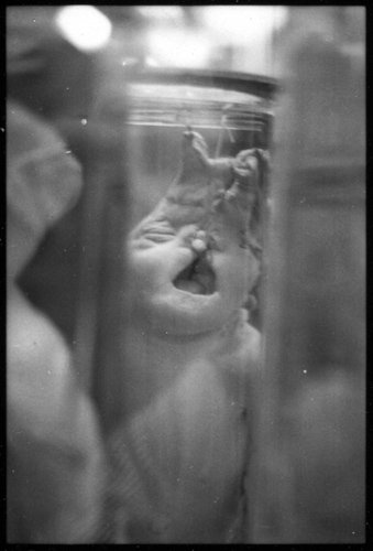 md-film-20.jpg