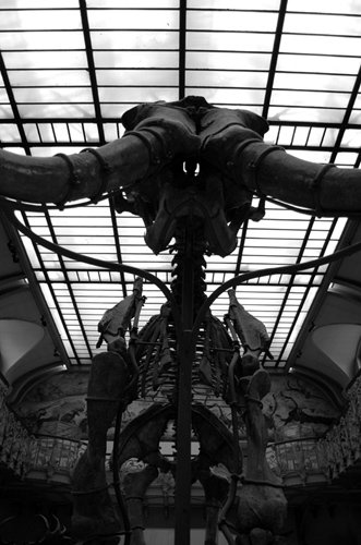 jdp-14-bw.jpg
