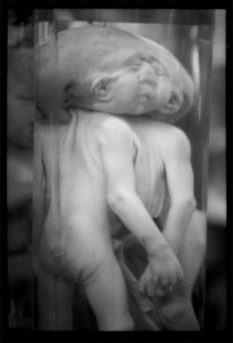 md-film-5.jpg
