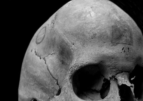 Skull No. 41