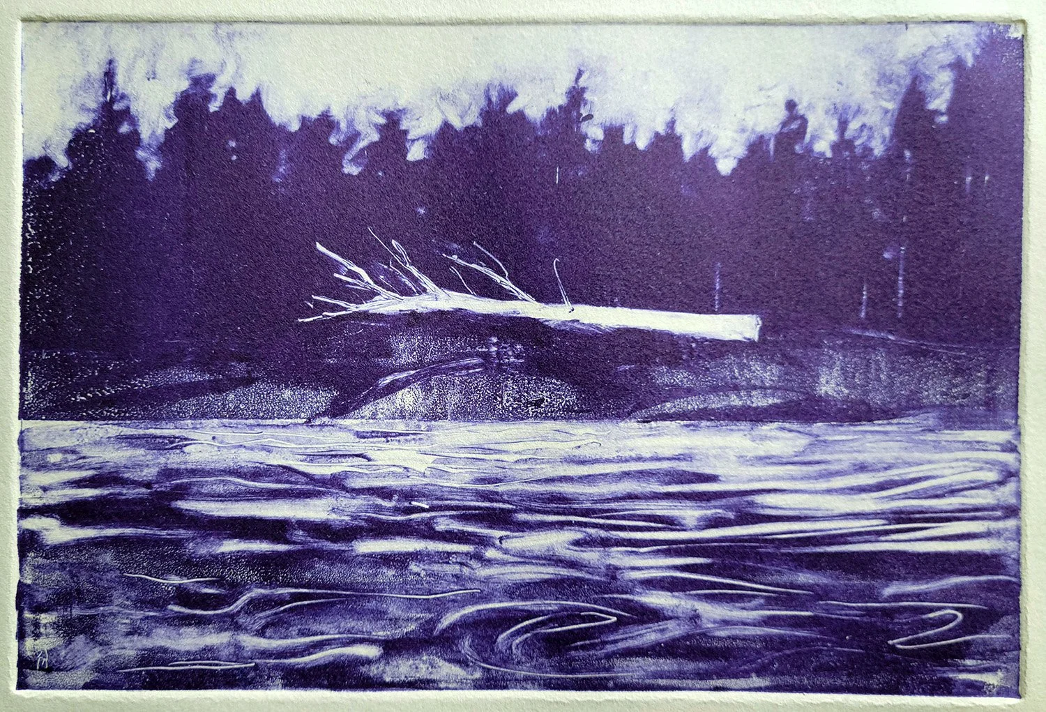 Monotype print in blue ink showing a driftwood tree washed up on a shoreline in coastal Maine