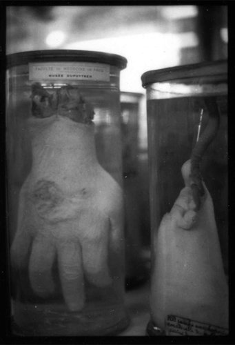 md-film-15a.jpg