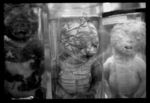 md-film-14.jpg