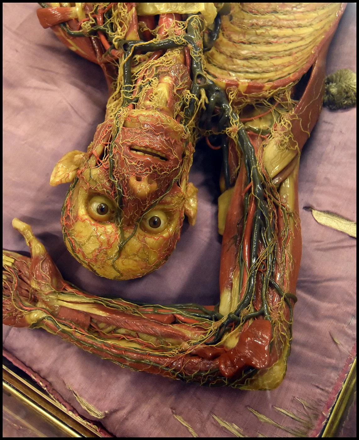 Wax anatomical model by Clemente Susini at La Specola, Florence, Italy