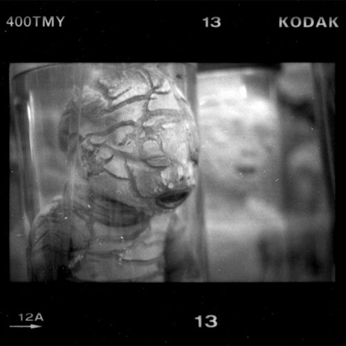 md-film-3.jpg