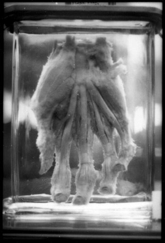 mv-film-9.jpg