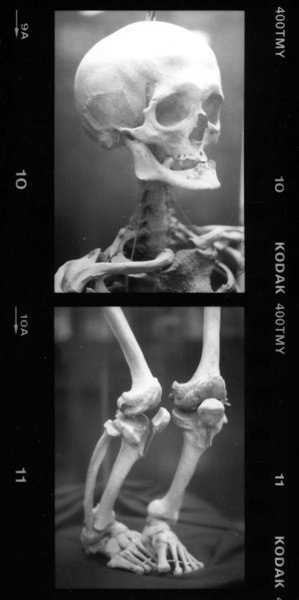 md-film-2.jpg