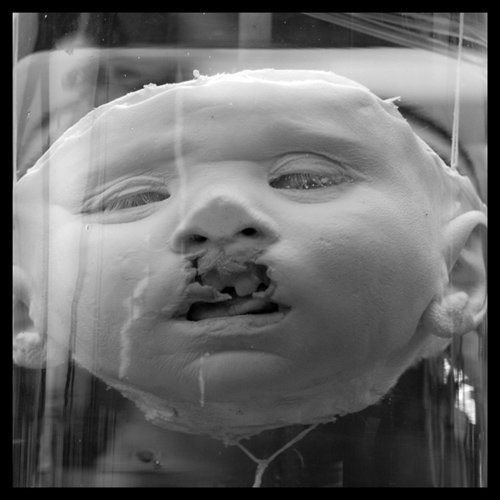 md-19-sq-bw.jpg