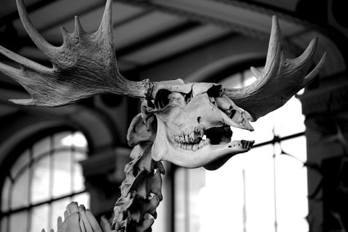 jdp-18-bw.jpg