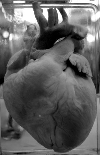 Corazón