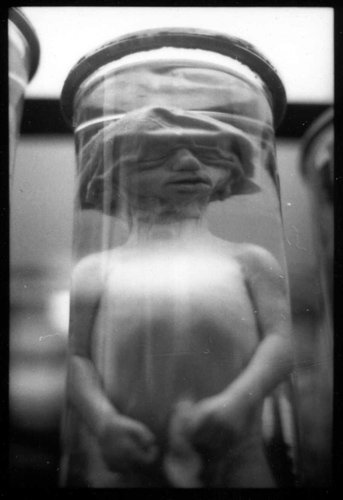 md-film-6.jpg