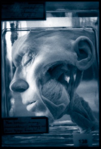 mv-film-14-duo.jpg