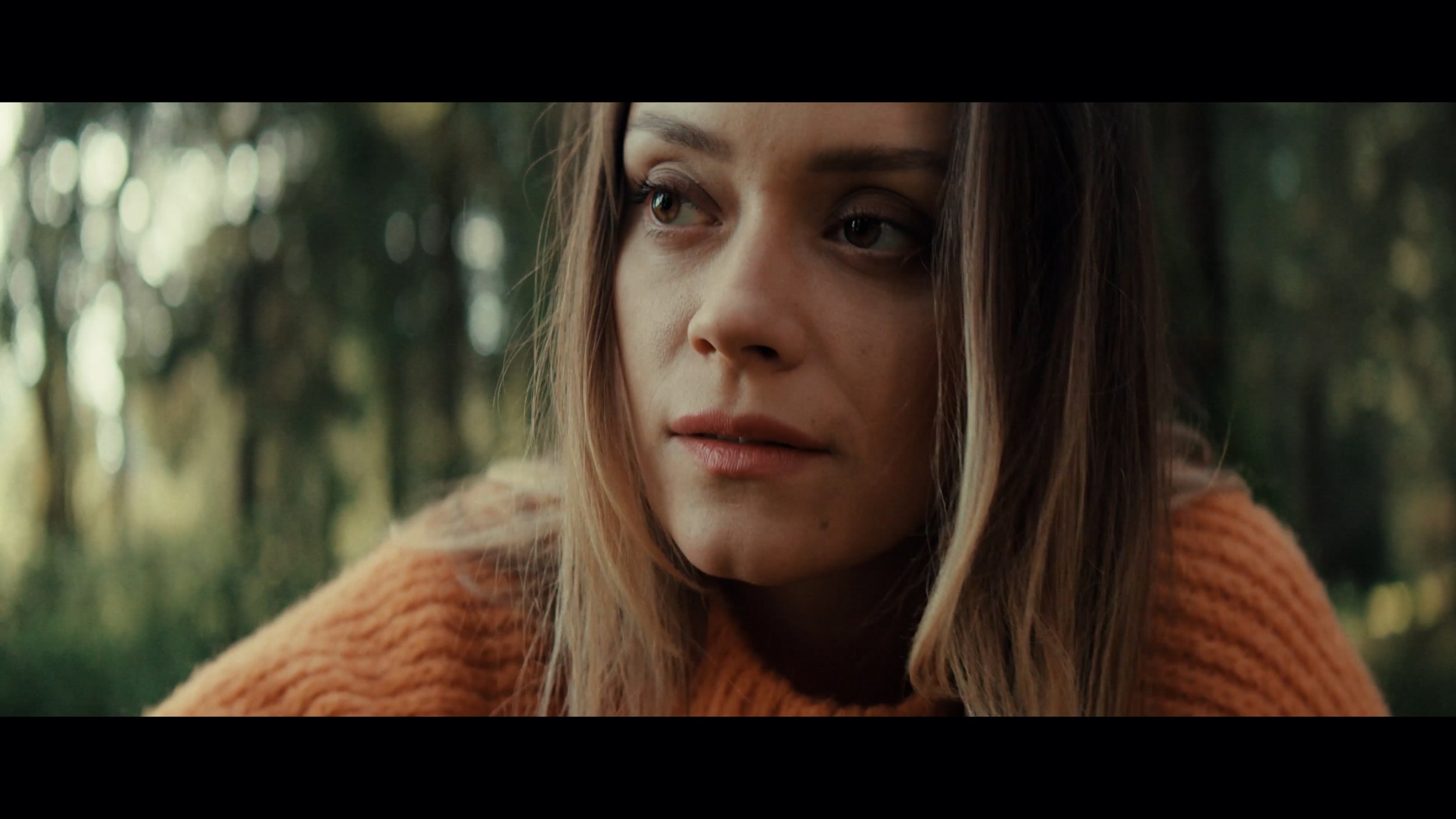 Copy of CZ_Subtitles_Grading_master_uhd-2_1.mp4.00_00_38_03.Still004.jpg