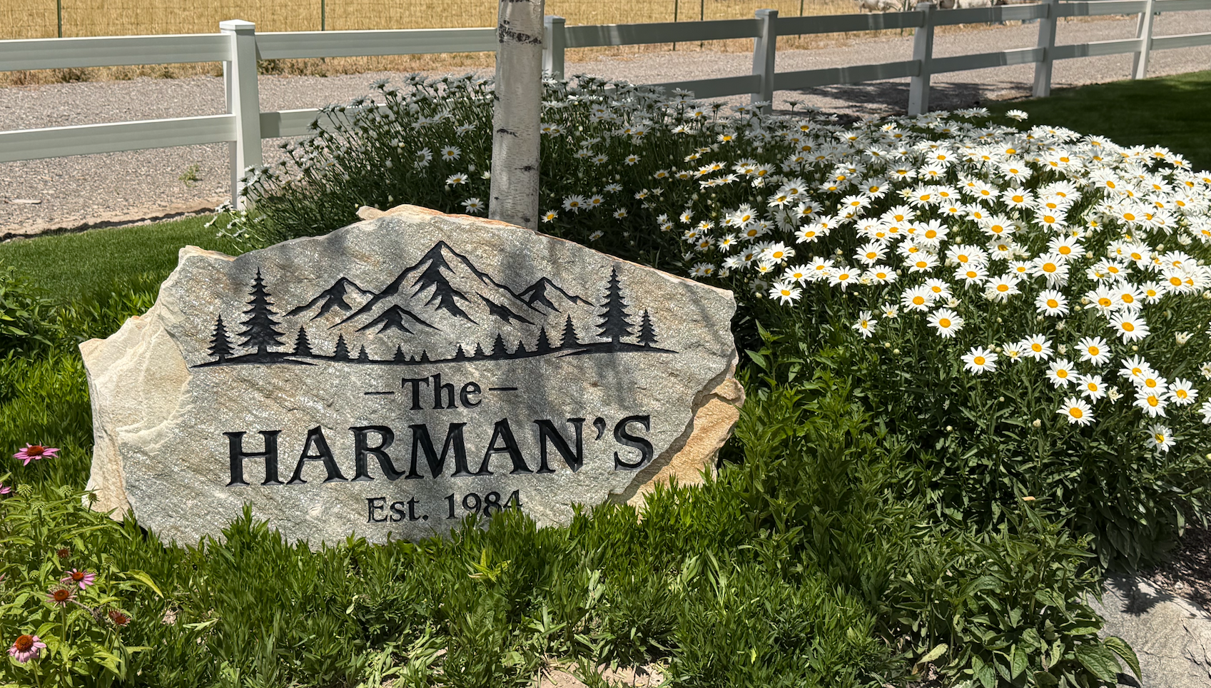 Harman.png