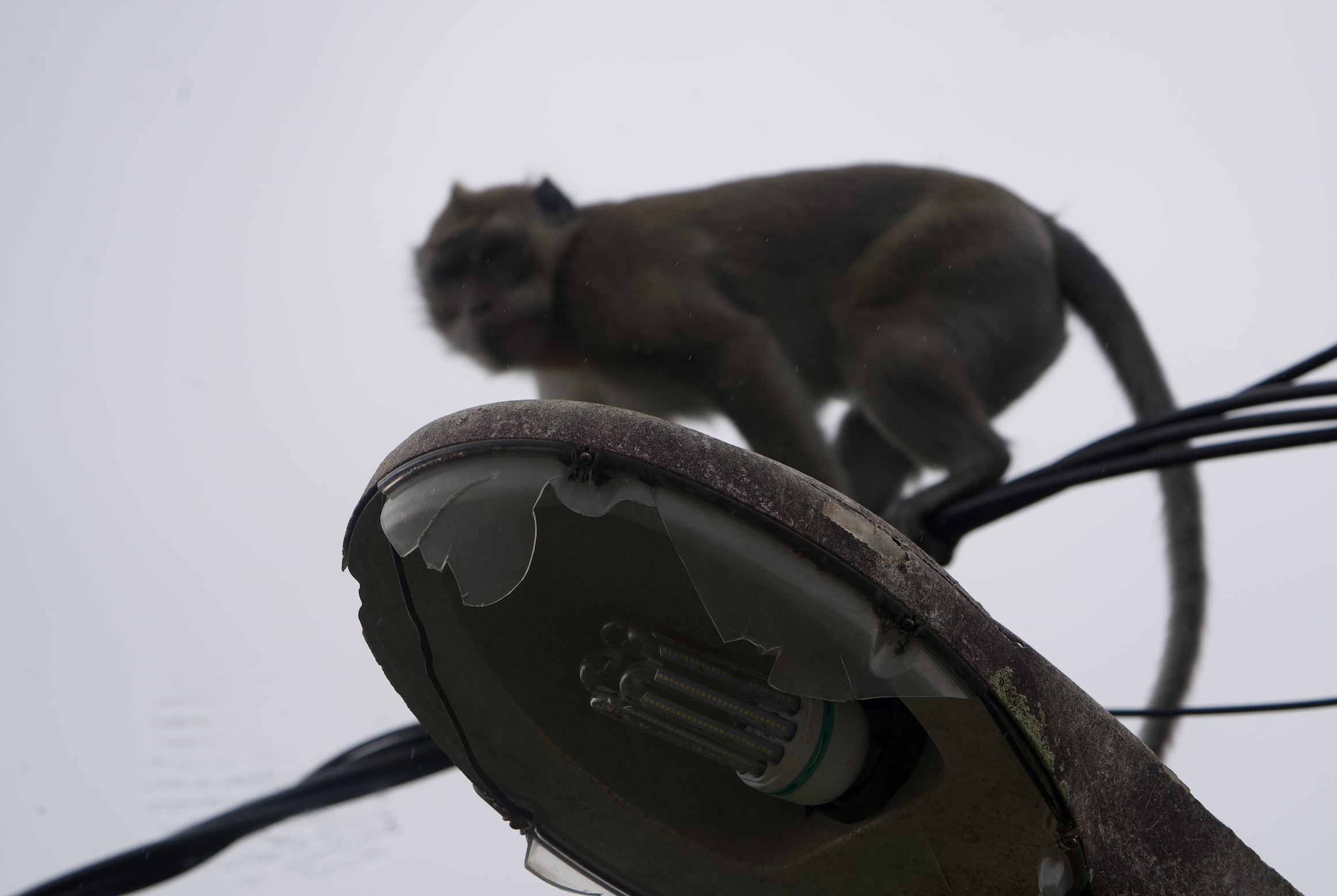 Screenshot 2026-04-20 at 11.44.33 AM.png