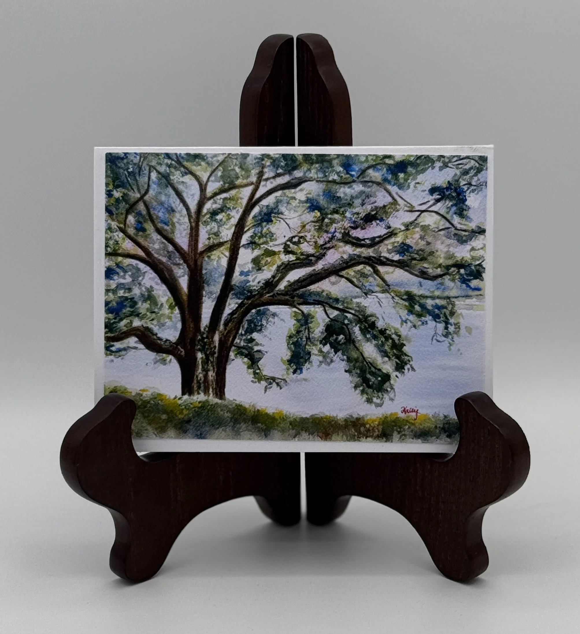 the_old_oak_jpg.jpg