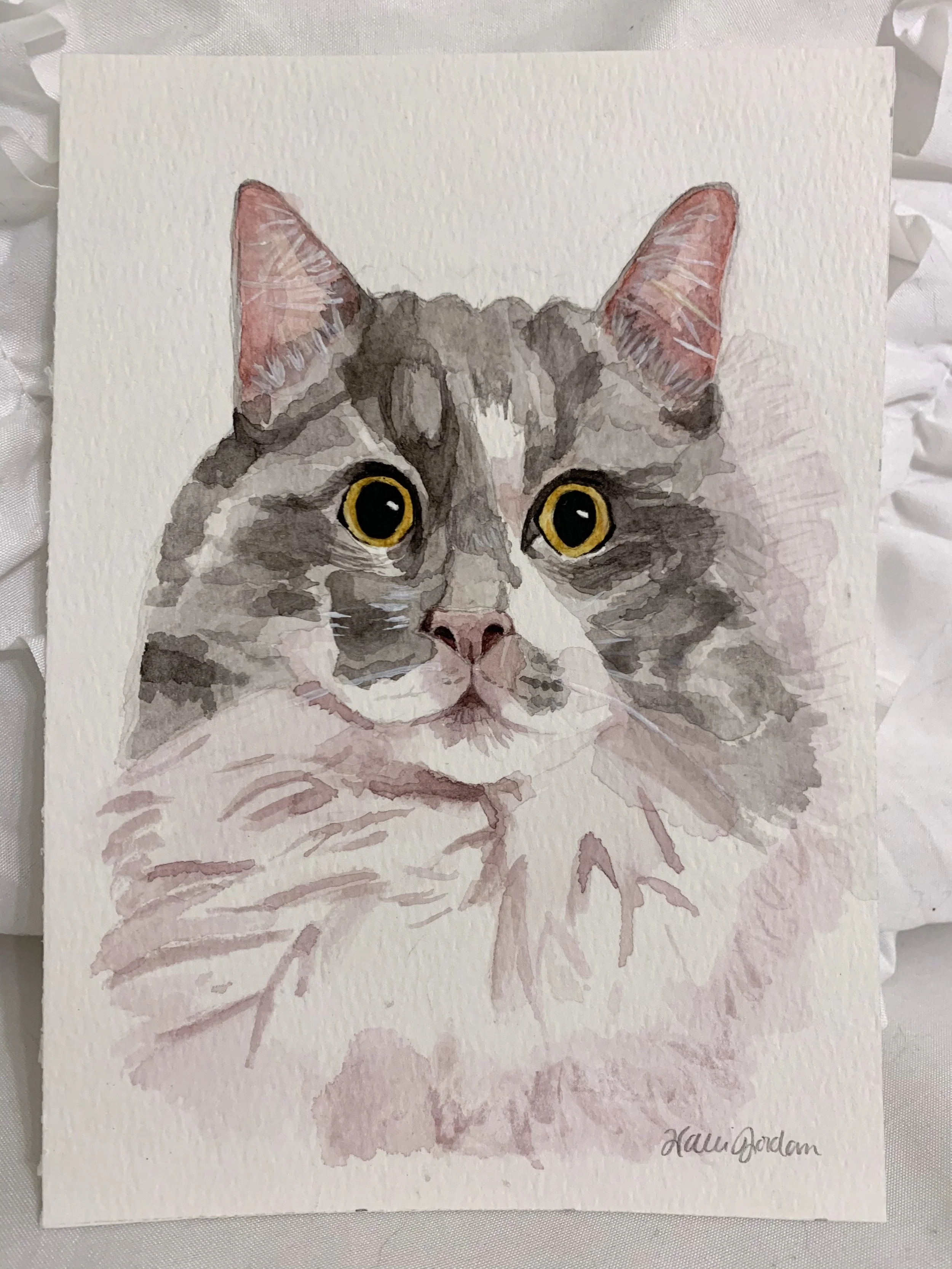 Watercolor painting of a kitten's face with large yellow eyes and pink ears, signed by the artist Hall Jordan.