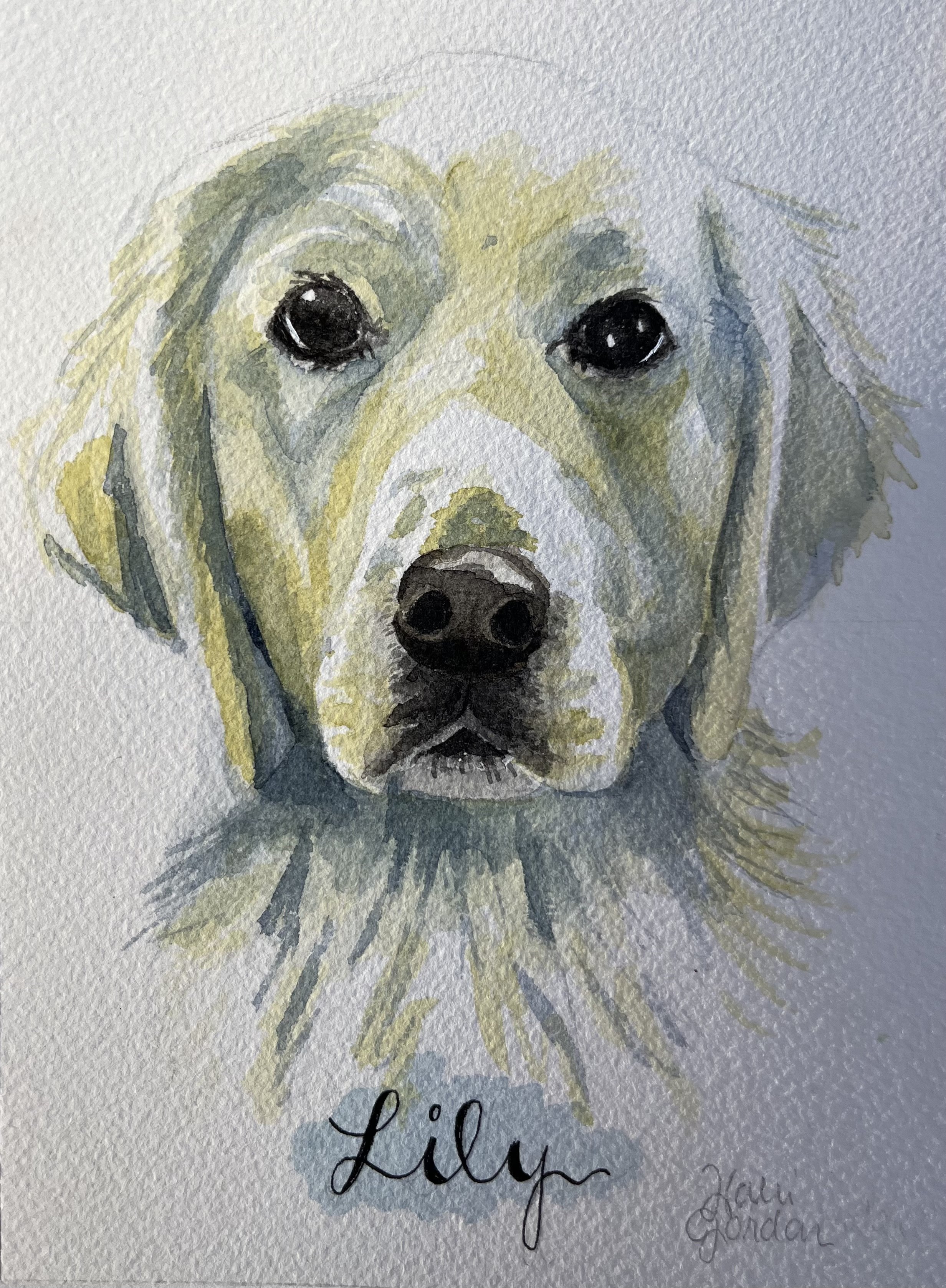 A watercolor painting of a dog with a yellow and white coat, black eyes, and a black nose, with the name "Lily" written below and an additional signature.