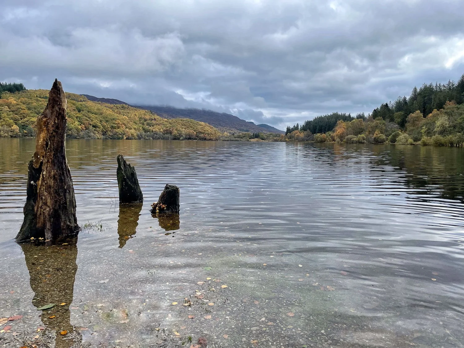 Trossachs Loch Achray with foreground timbers.jpg