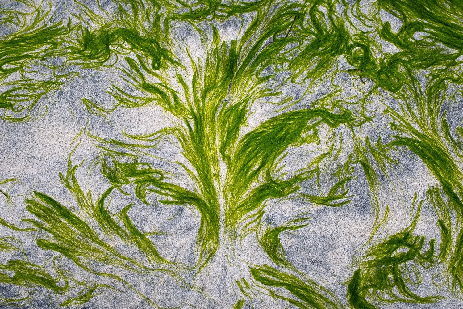 Tide combed on Seilebost beach.jpg