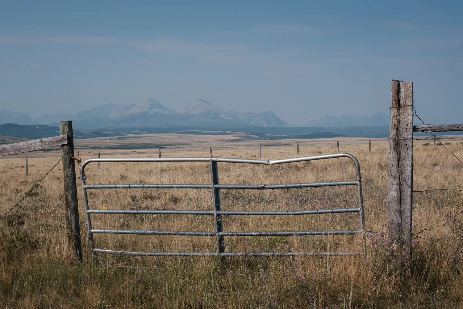 Fences on the Blackfeet Reservation, Montana.jpg