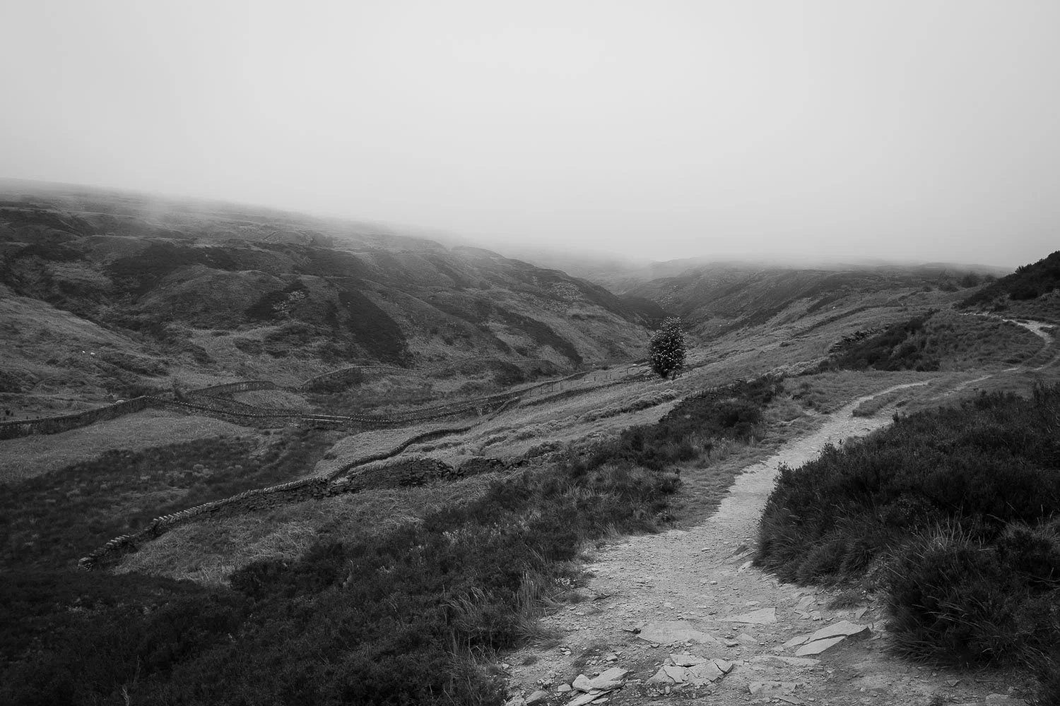 Fog in Harden Quarry.jpg