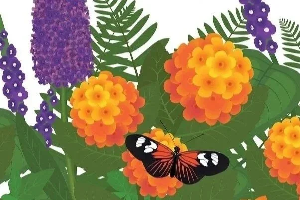 Butterfly Wing Signage