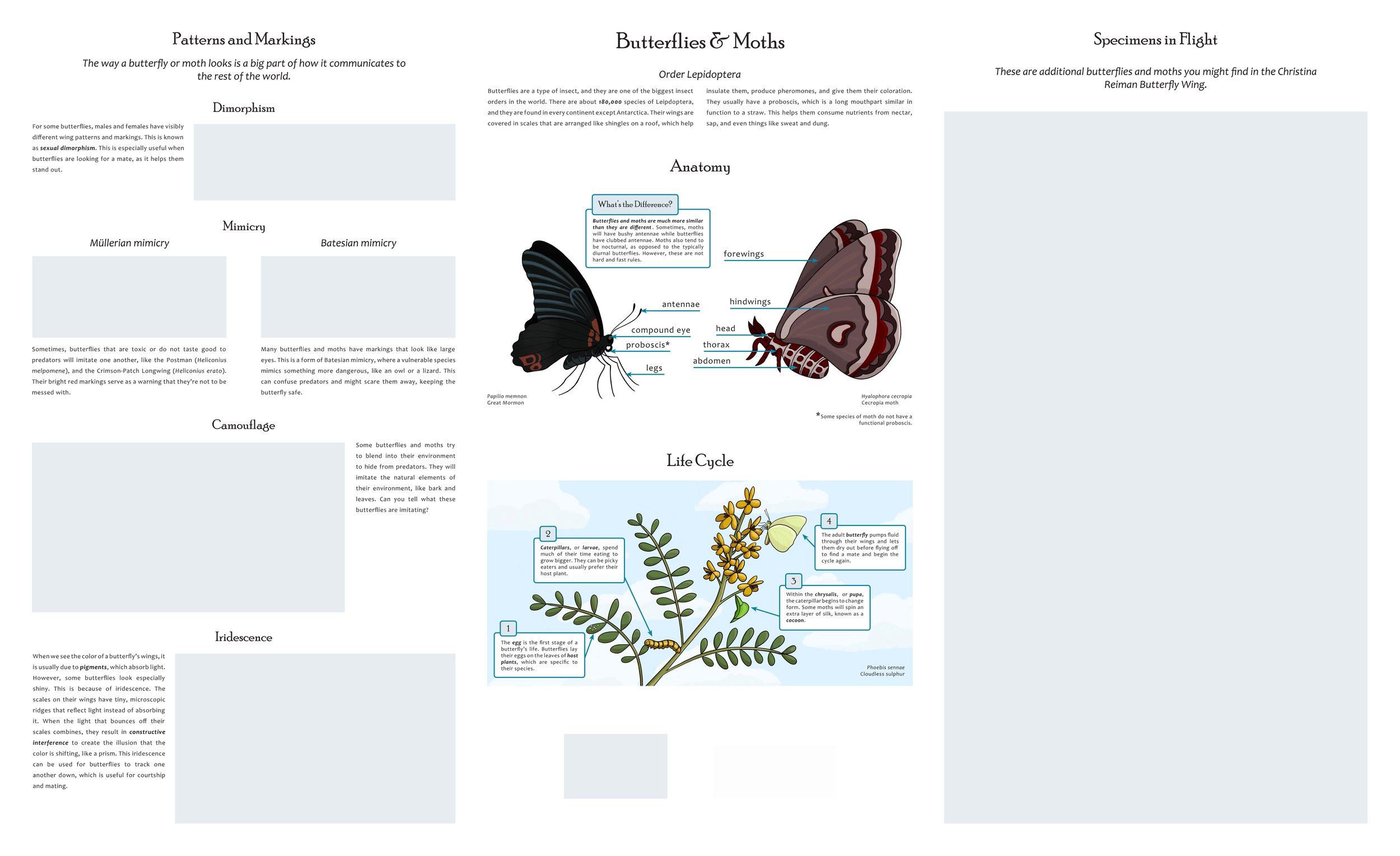 Poster before printing.