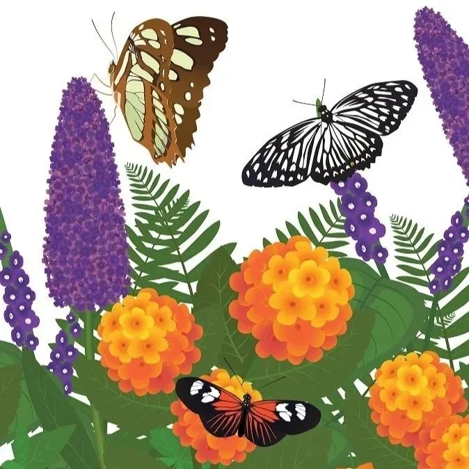 Butterfly Wing Signage