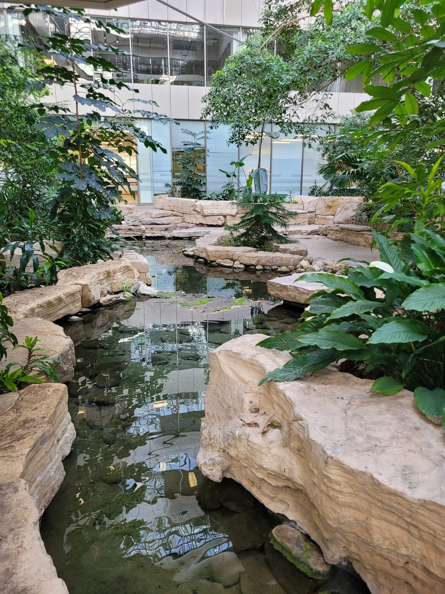 WhatsApp Image 2025-03-29 at 3.12.27 PM-6.jpeg