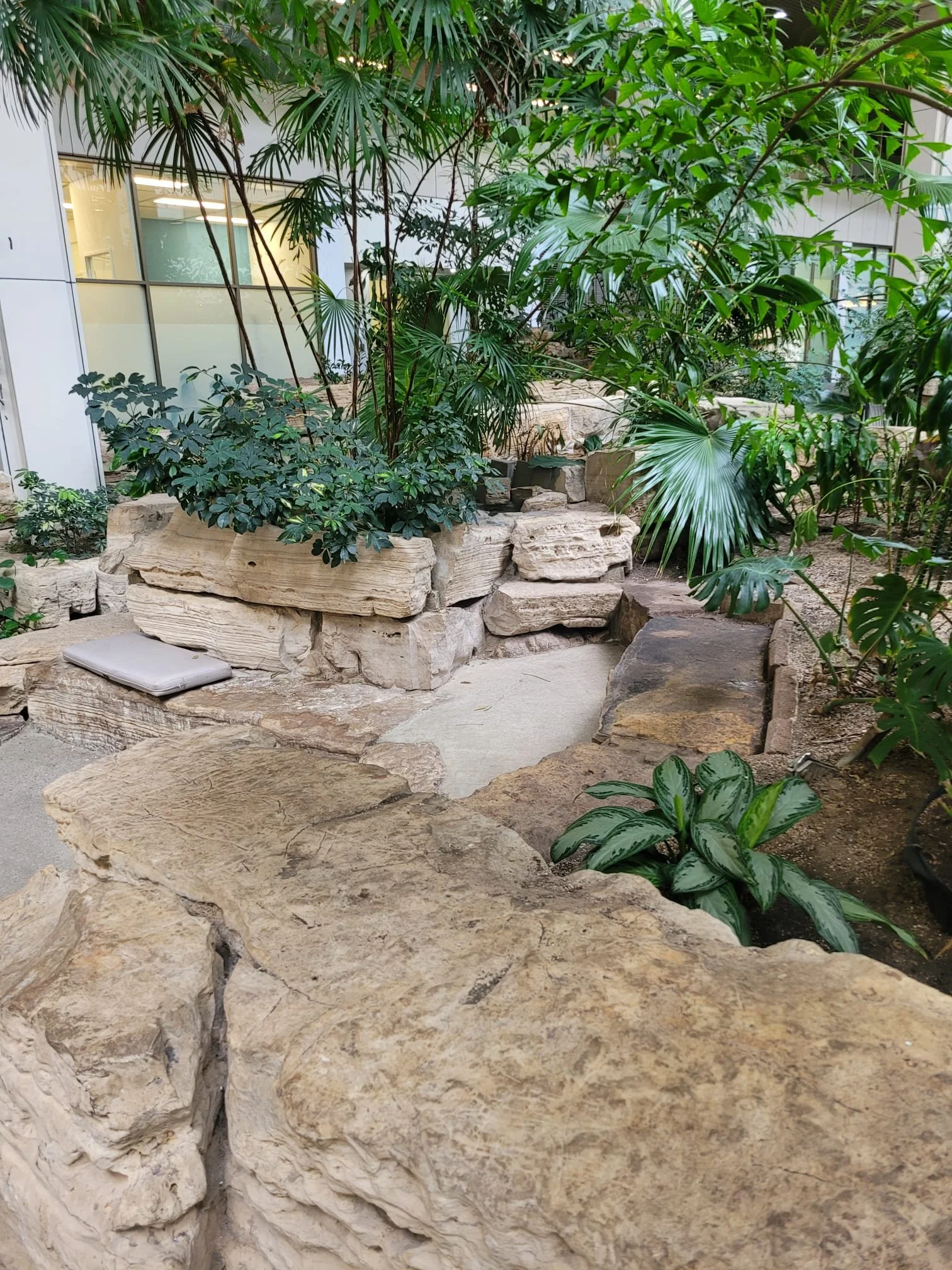 WhatsApp Image 2025-03-29 at 3.12.26 PM-2.jpeg