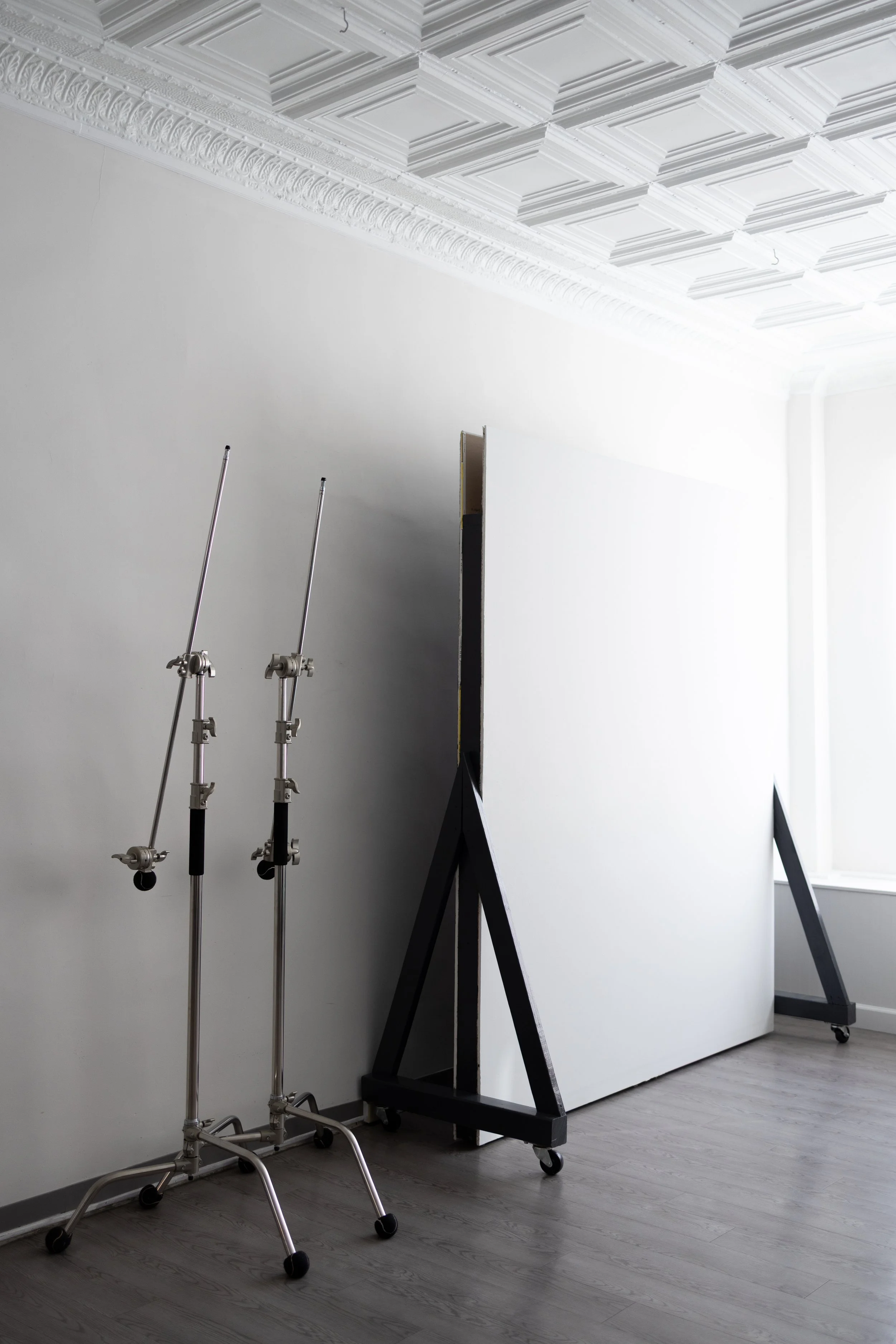 Room with a white wall, decorative ceiling, and lighting equipment on stands.