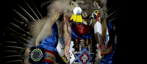 NativeToThisLand_2018_V1_UHD.gif