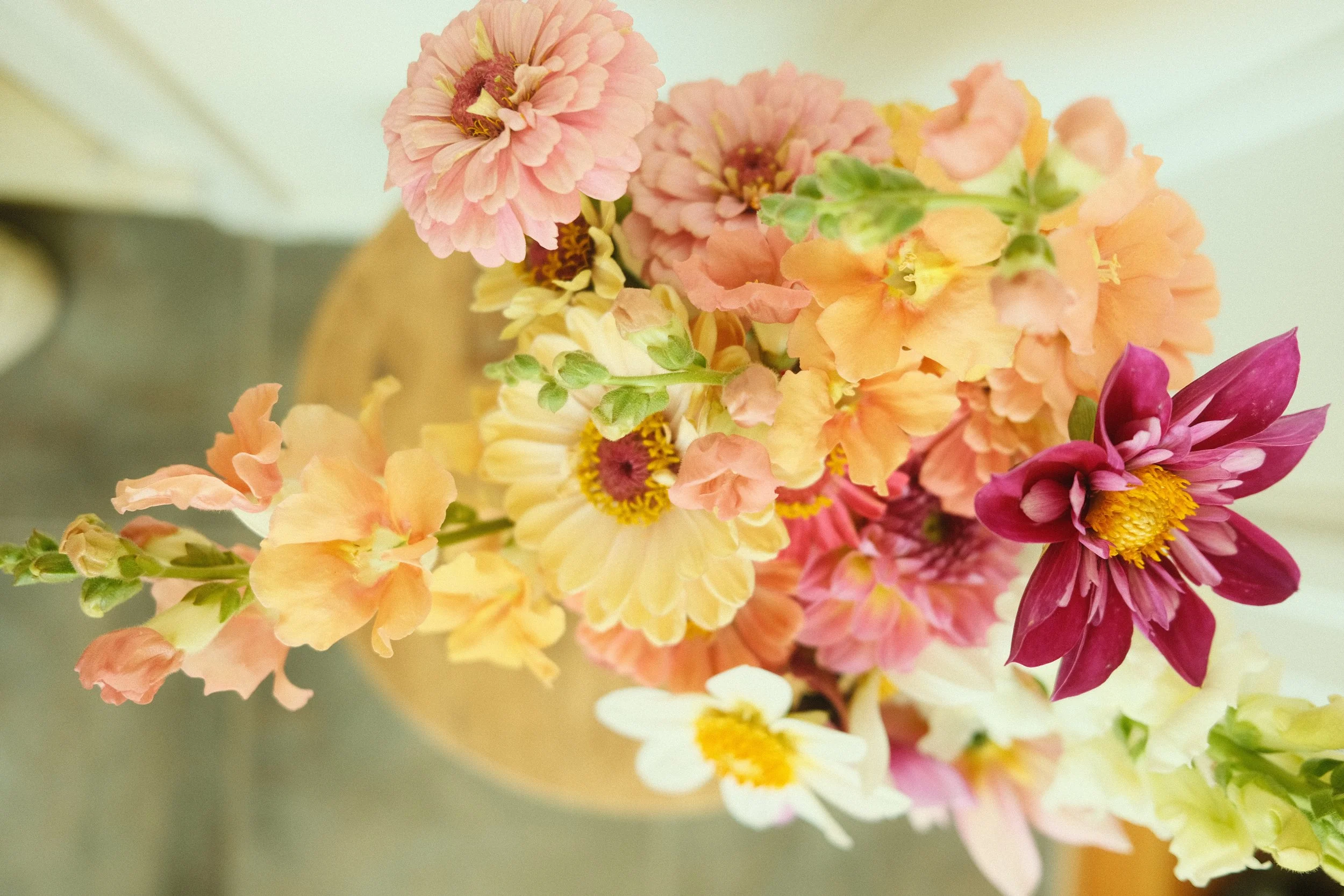 DSCF3858.jpeg (Copy)