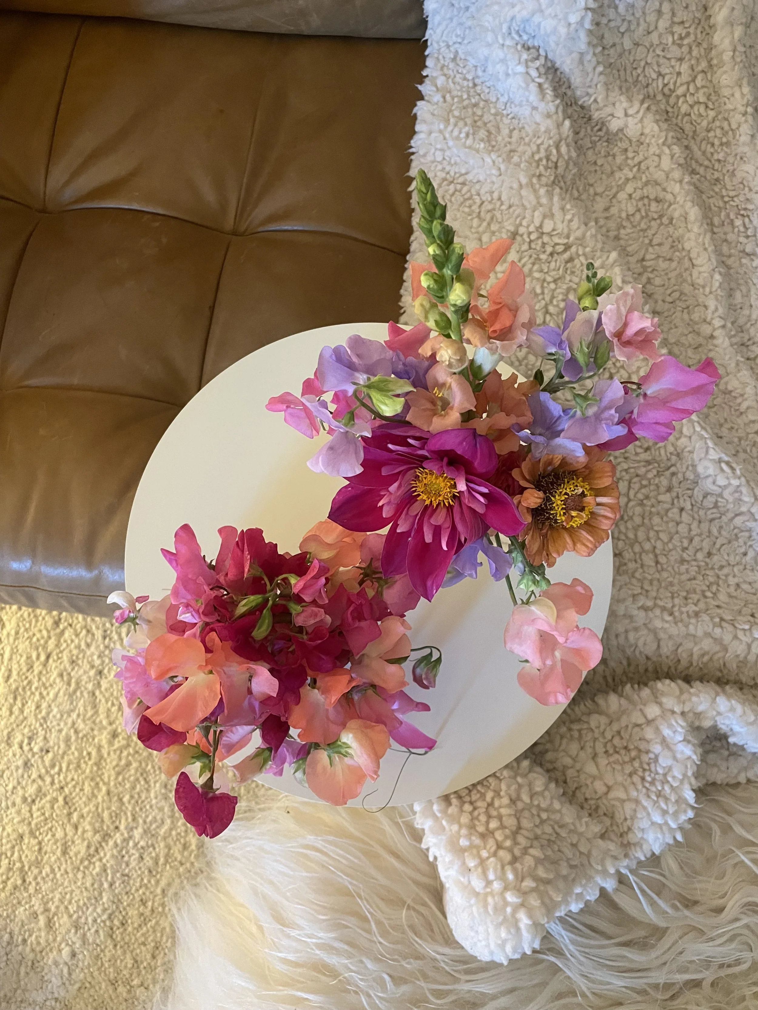 IMG_8363.jpeg (Copy)