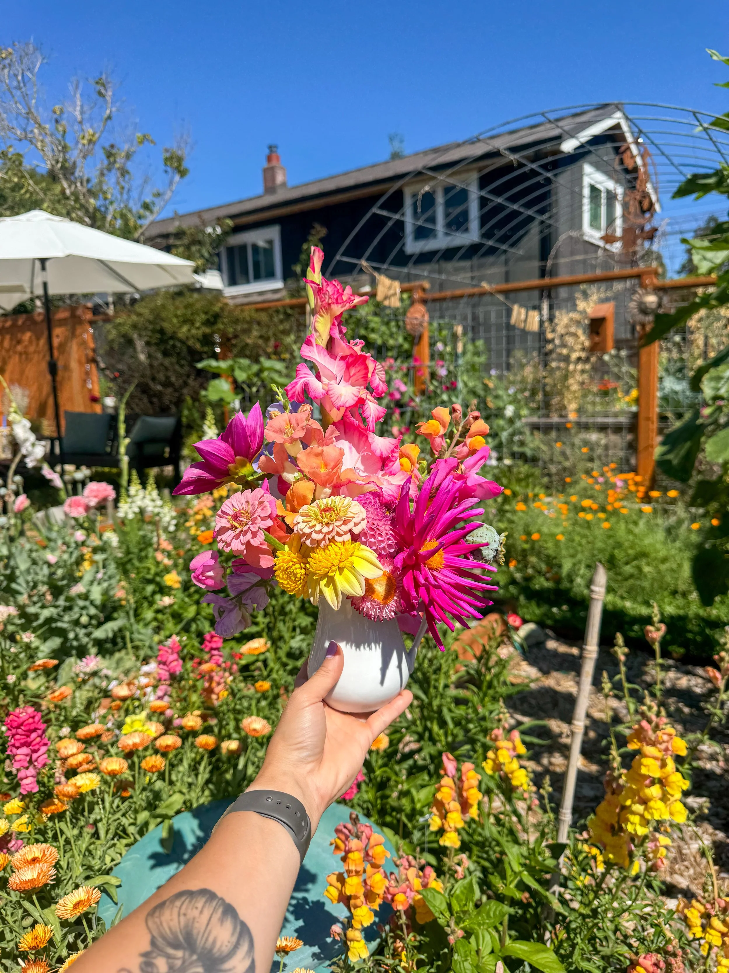 IMG_1859.jpeg (Copy)