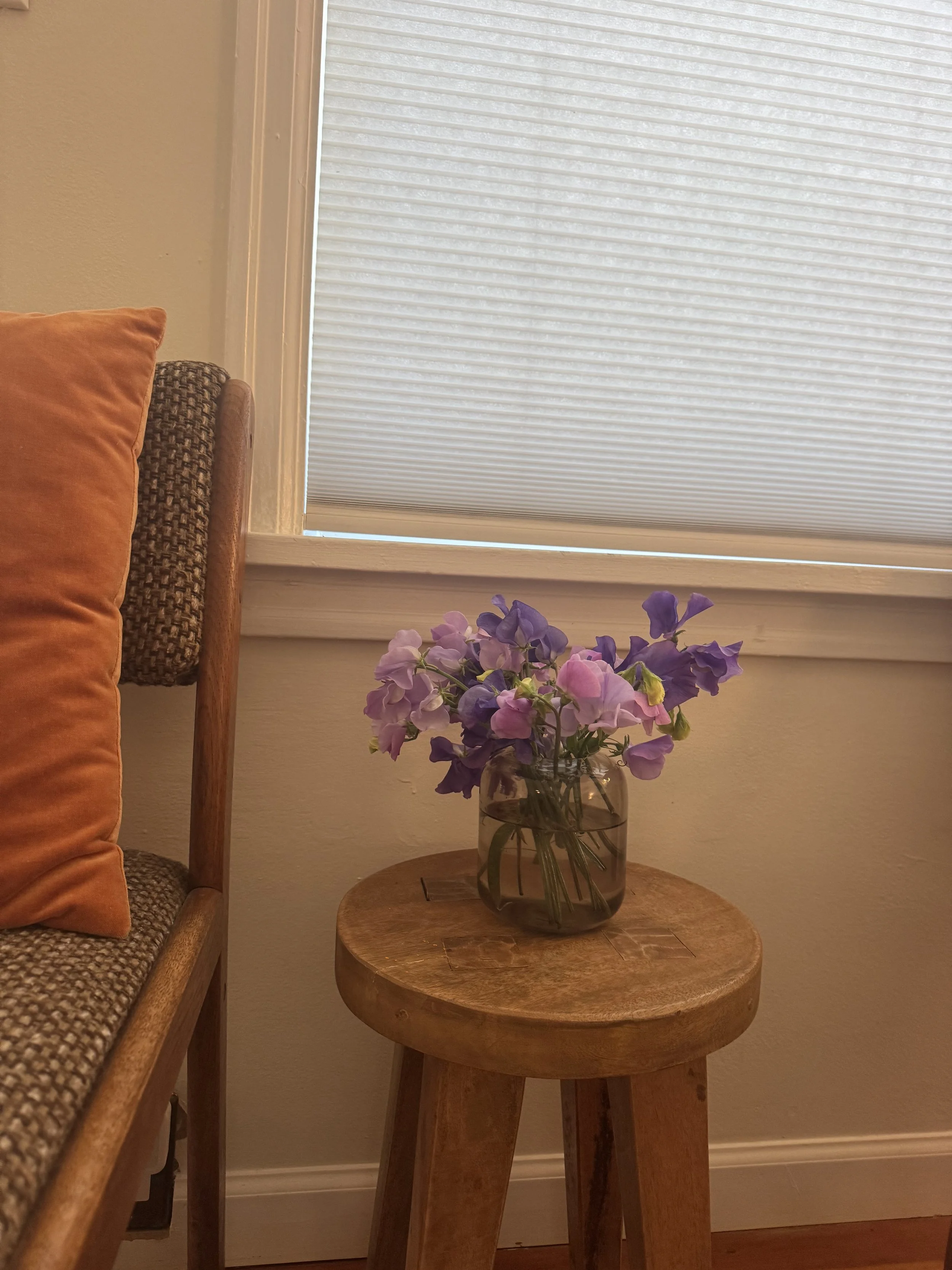 IMG_1524.jpeg (Copy)