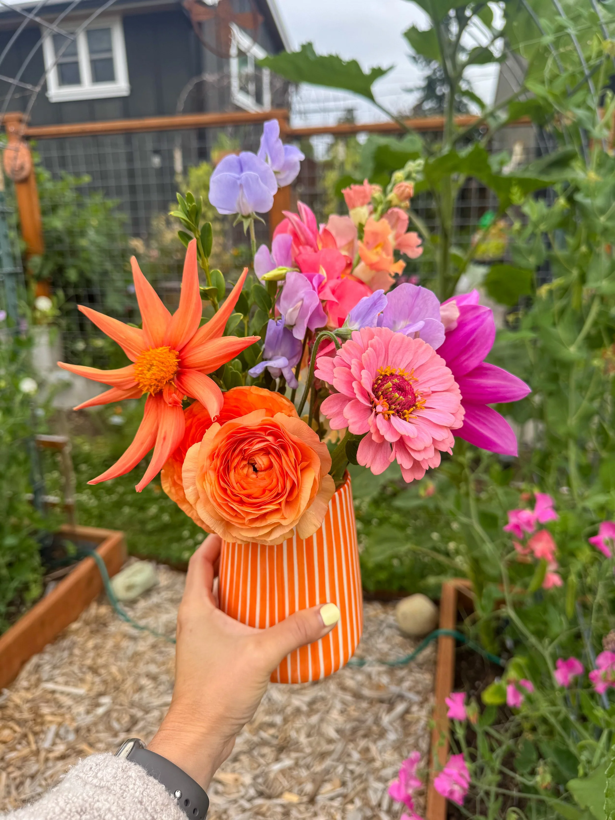 IMG_1414.jpeg (Copy)