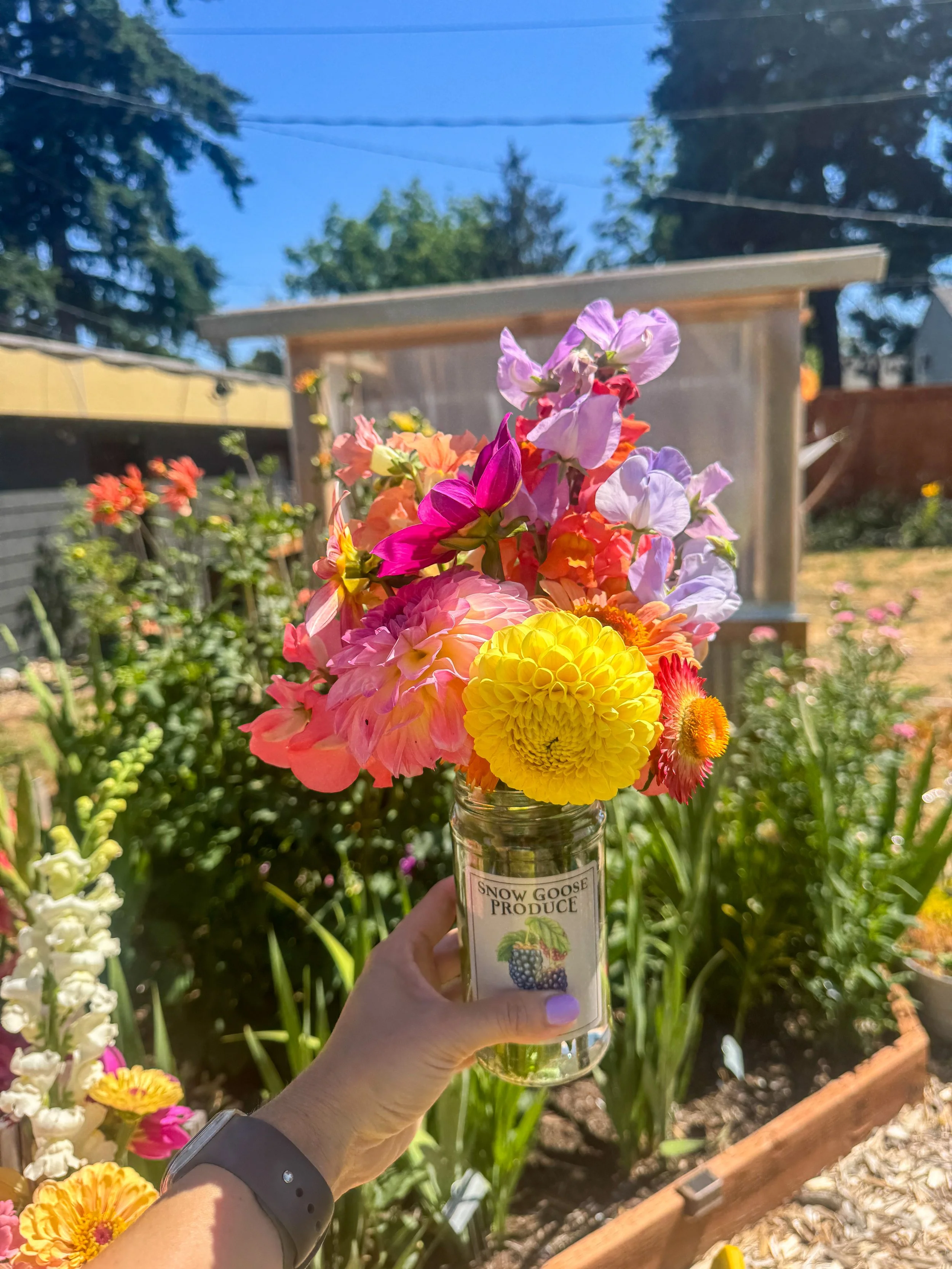 IMG_1743.jpeg (Copy)