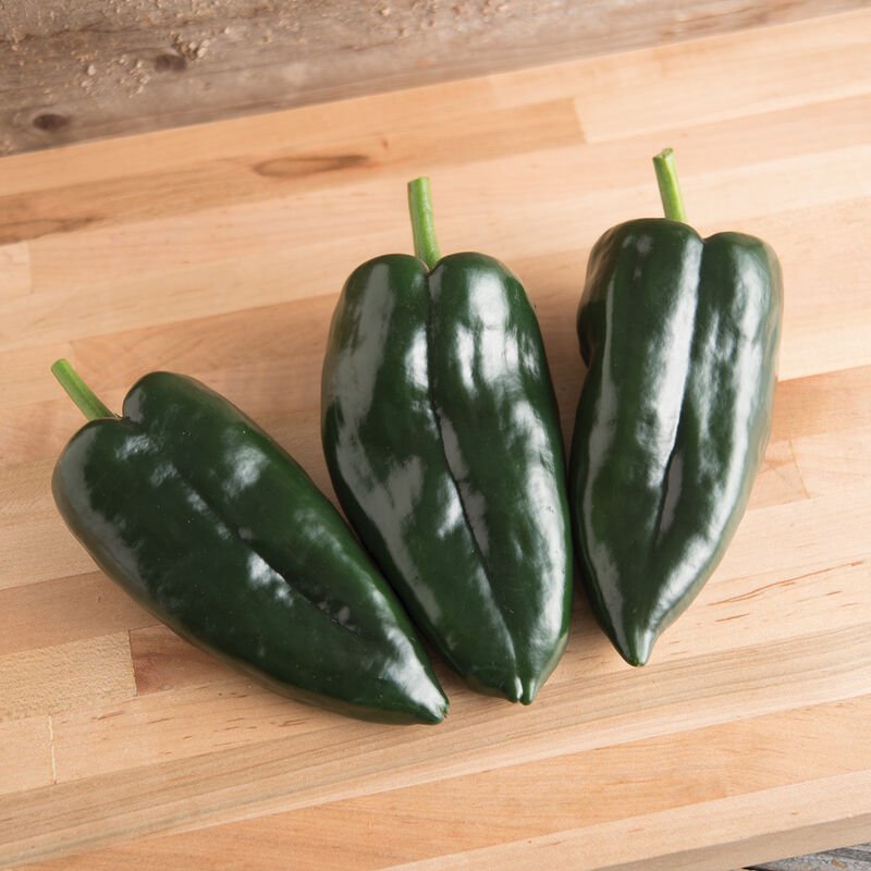 Coming Soon! Poblano Pepper Baron