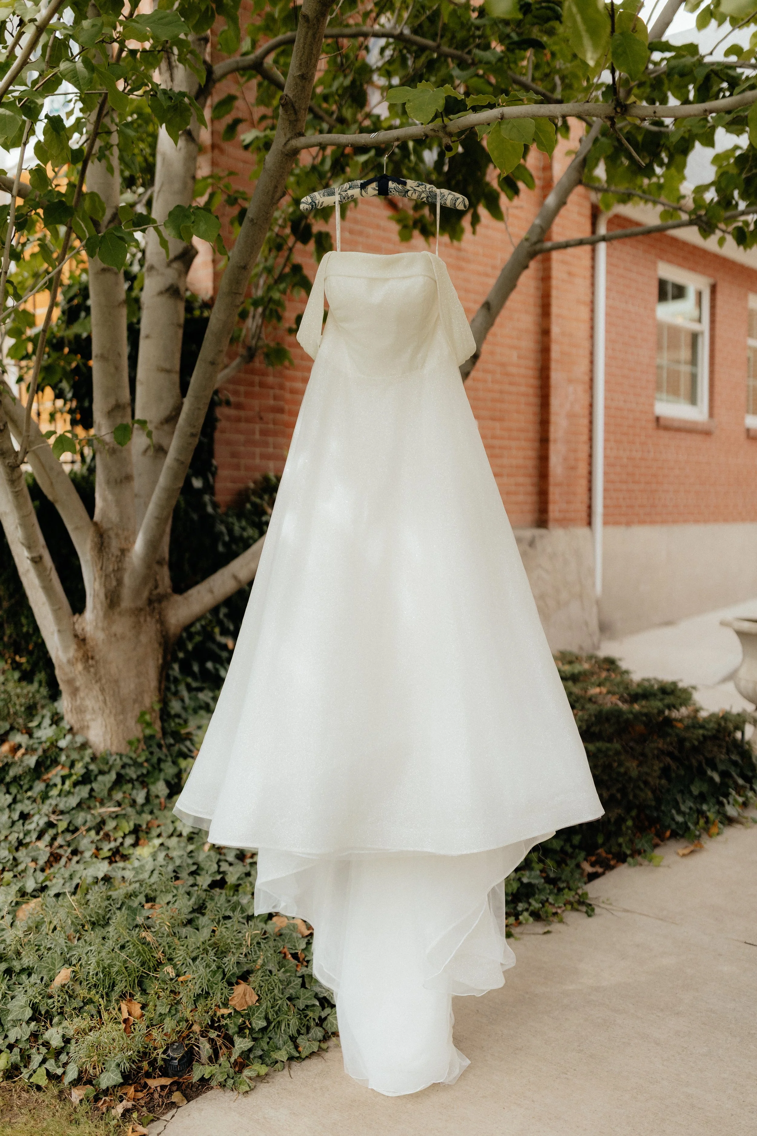 6T1A2066-export settings-2_(2).jpeg