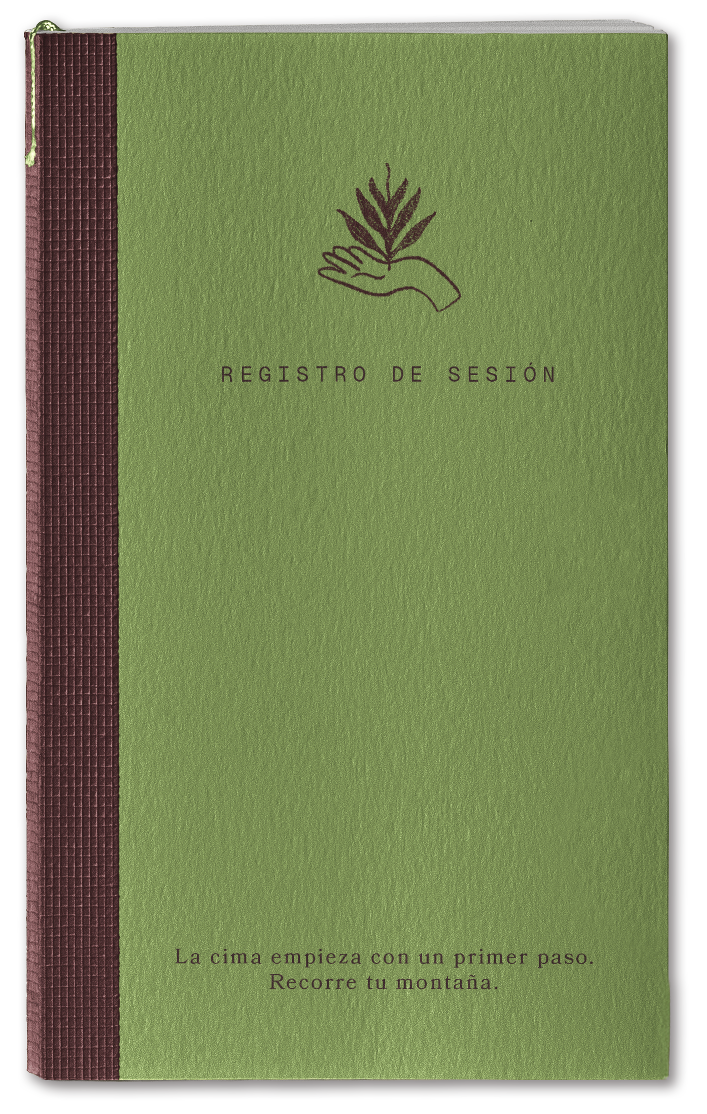 Registro de sesión de Marina Leal, psicóloga clínica online.