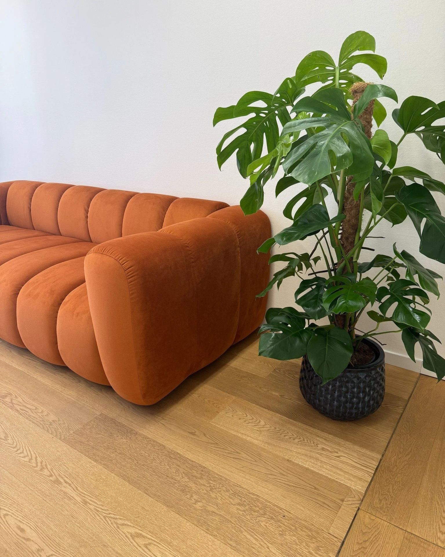 Nos bureaux de Gen&egrave;ve seront ferm&eacute;s les deux premi&egrave;res semaines d'ao&ucirc;t. Une partie de l'&eacute;quipe reste malgr&eacute; tout joignable par email ou whatsapp 🤭

Nous prenons une petite pause afin de finaliser certains pro