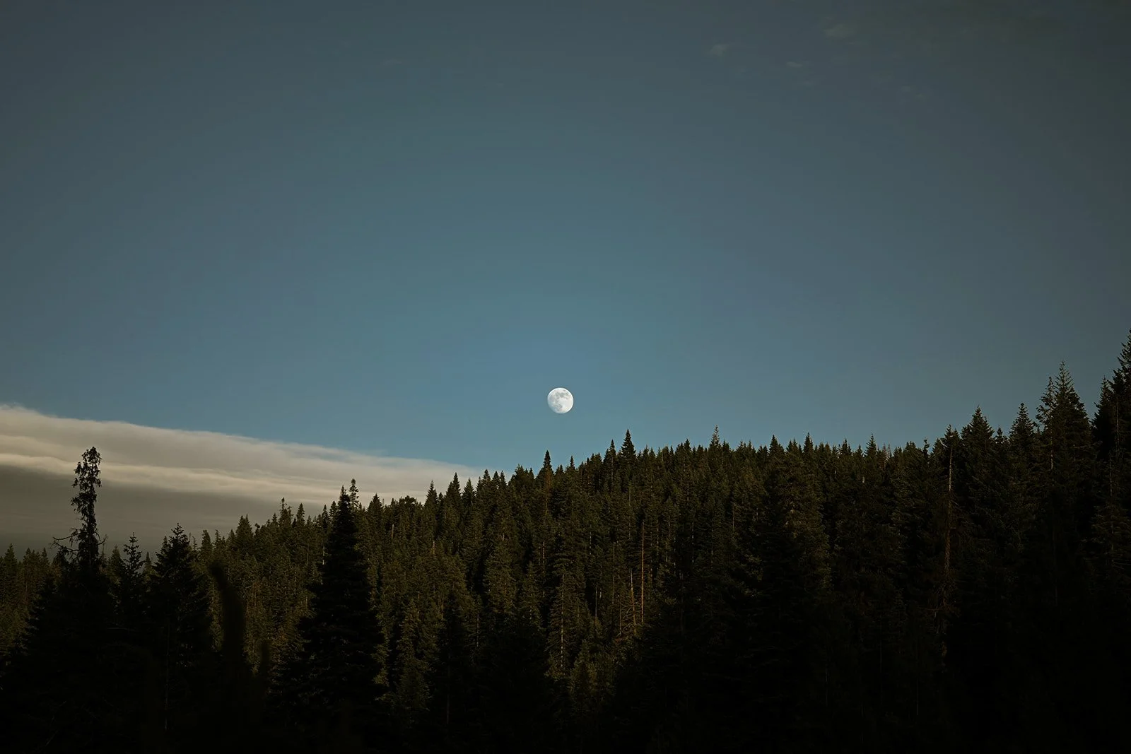 Jessica Keaveny Oregon Photographer.jpg