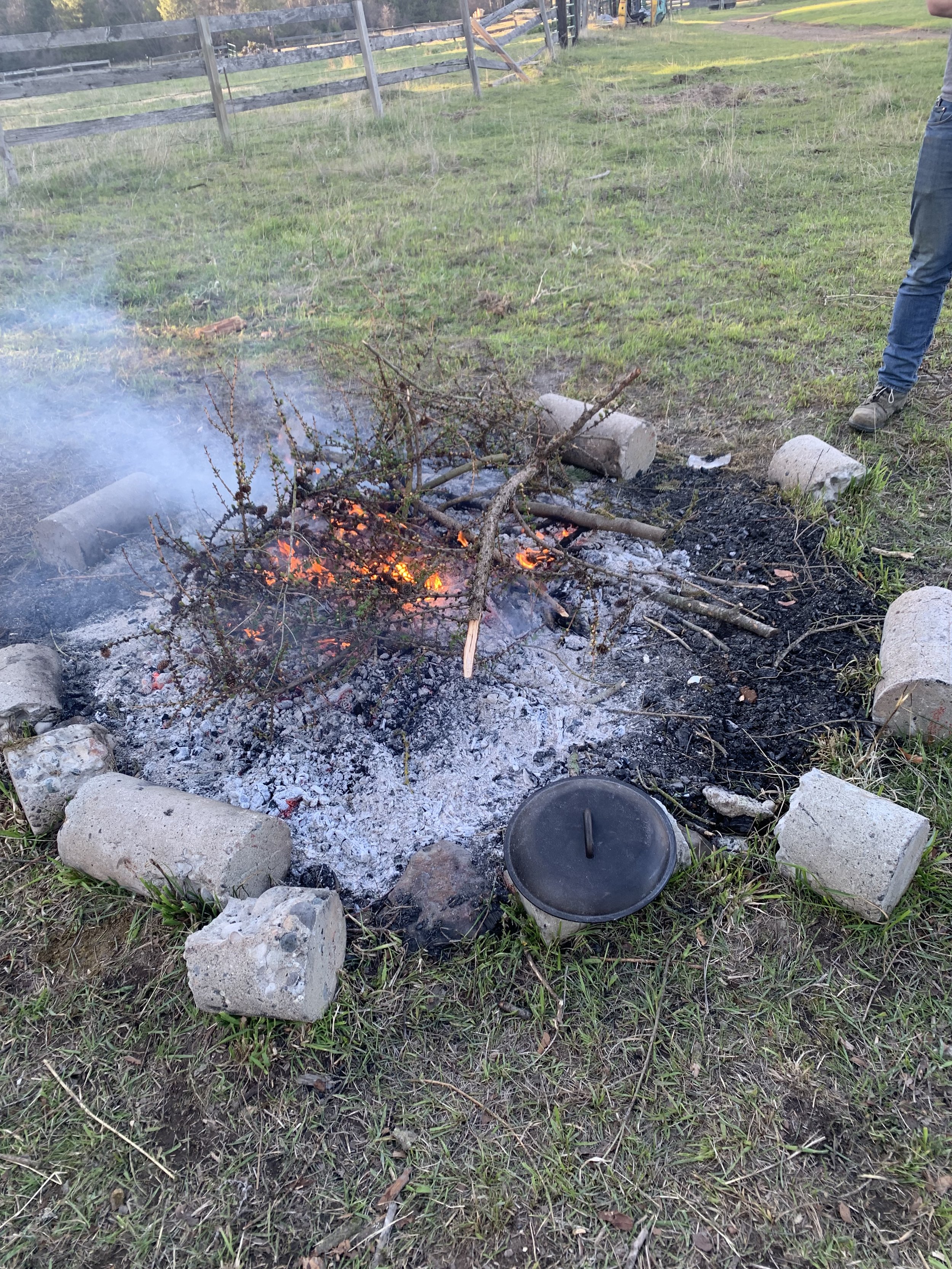 First Cookout of the Year!