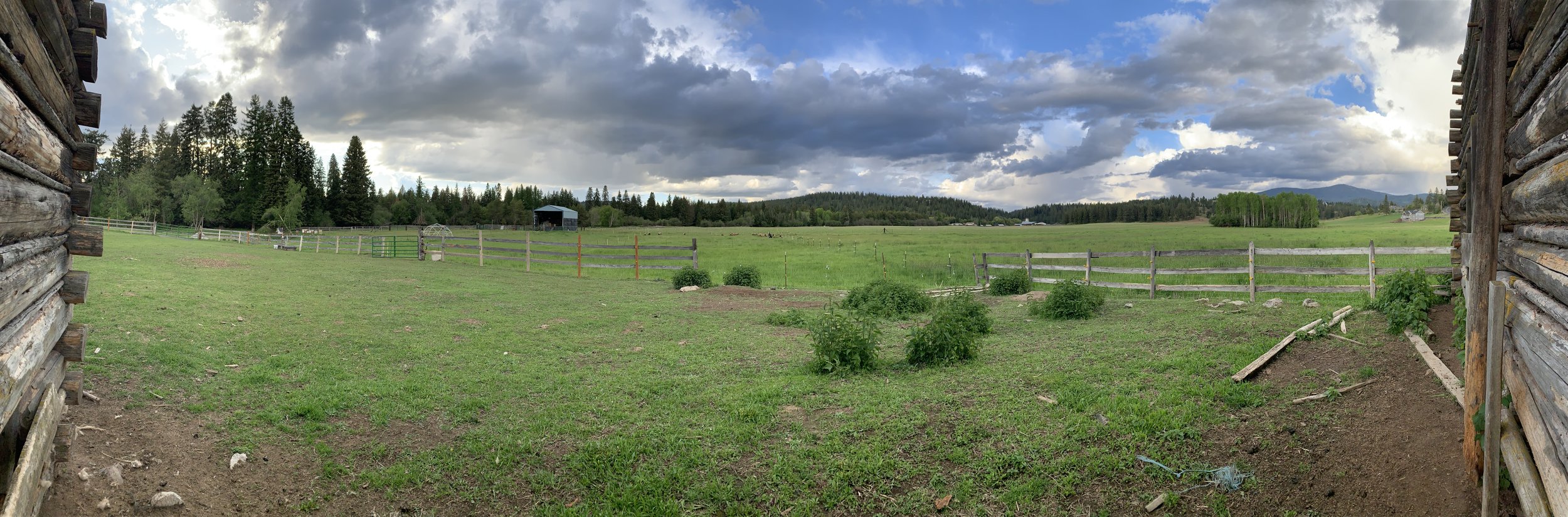 Spring view of the side field and hay barn