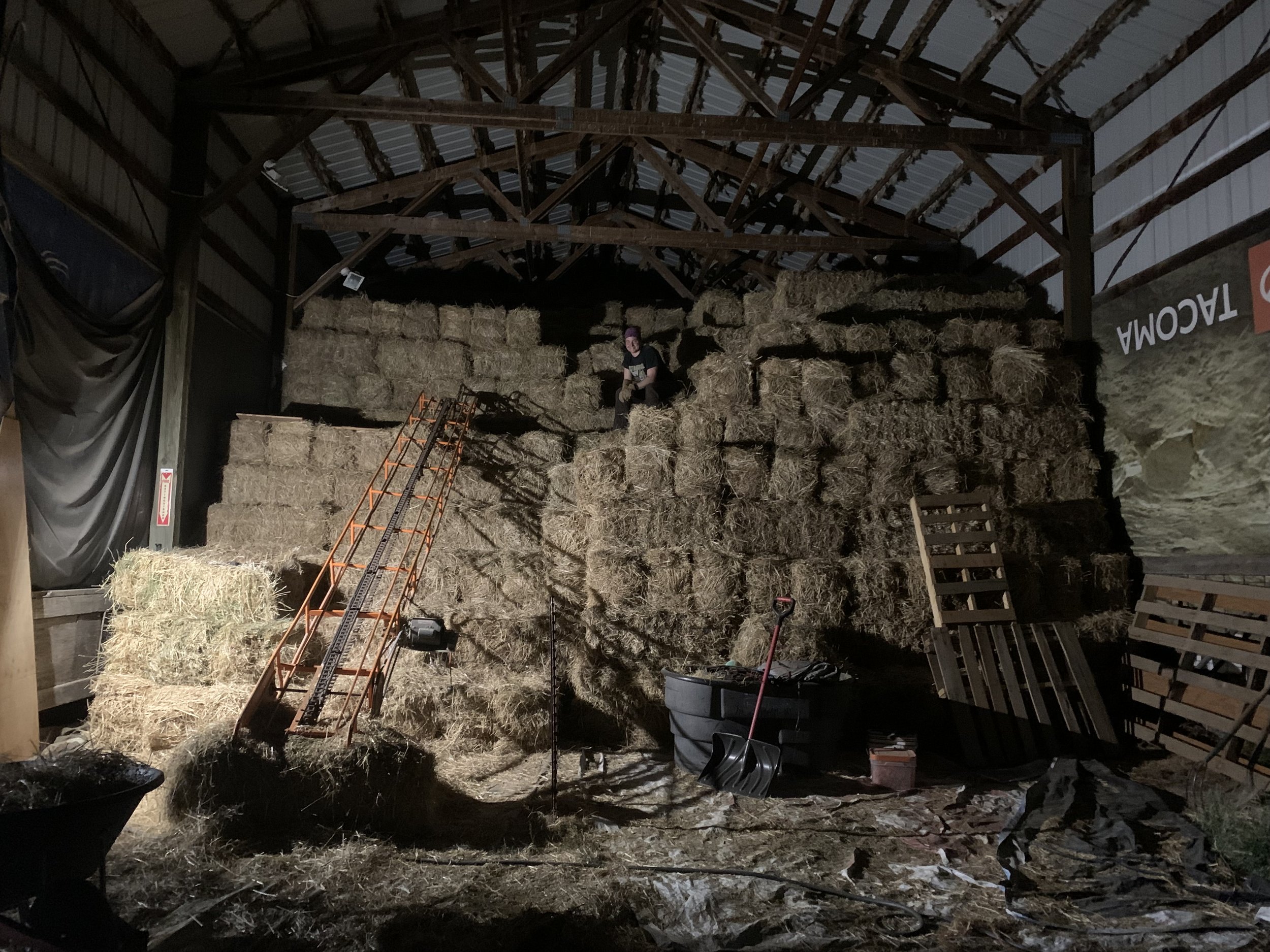 Last load of Hay (Summer '24)