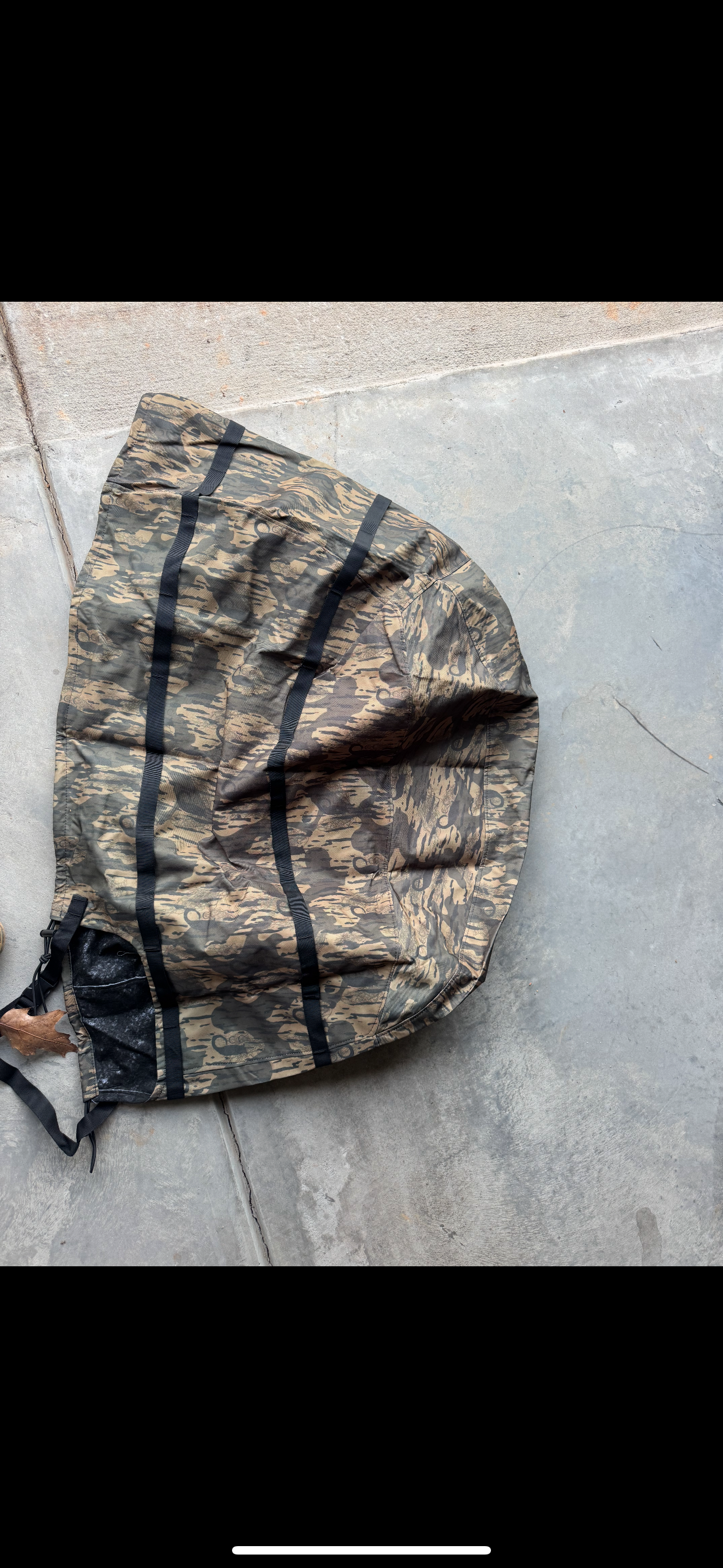 Carolina Timber VENTLESS Cover