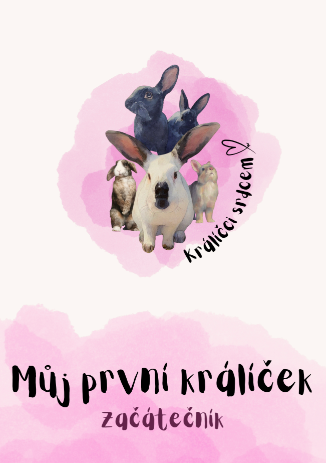 Sni%CC%81mek+obrazovky+2026-09-02+v%C2%A08.50.06.png