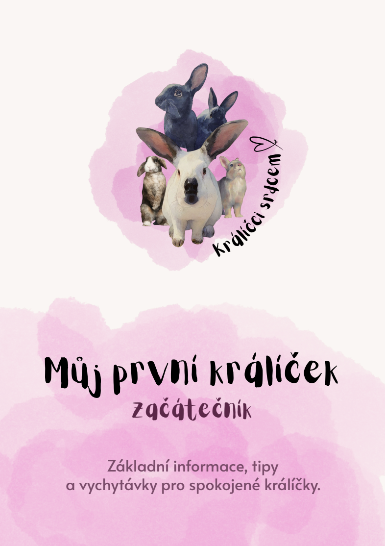 Můj první králíček - ZAČÁTEČNÍK